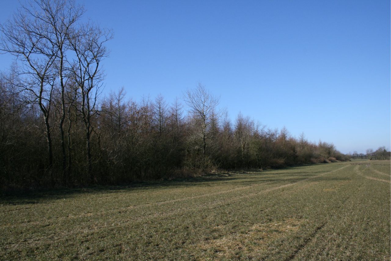 image 01