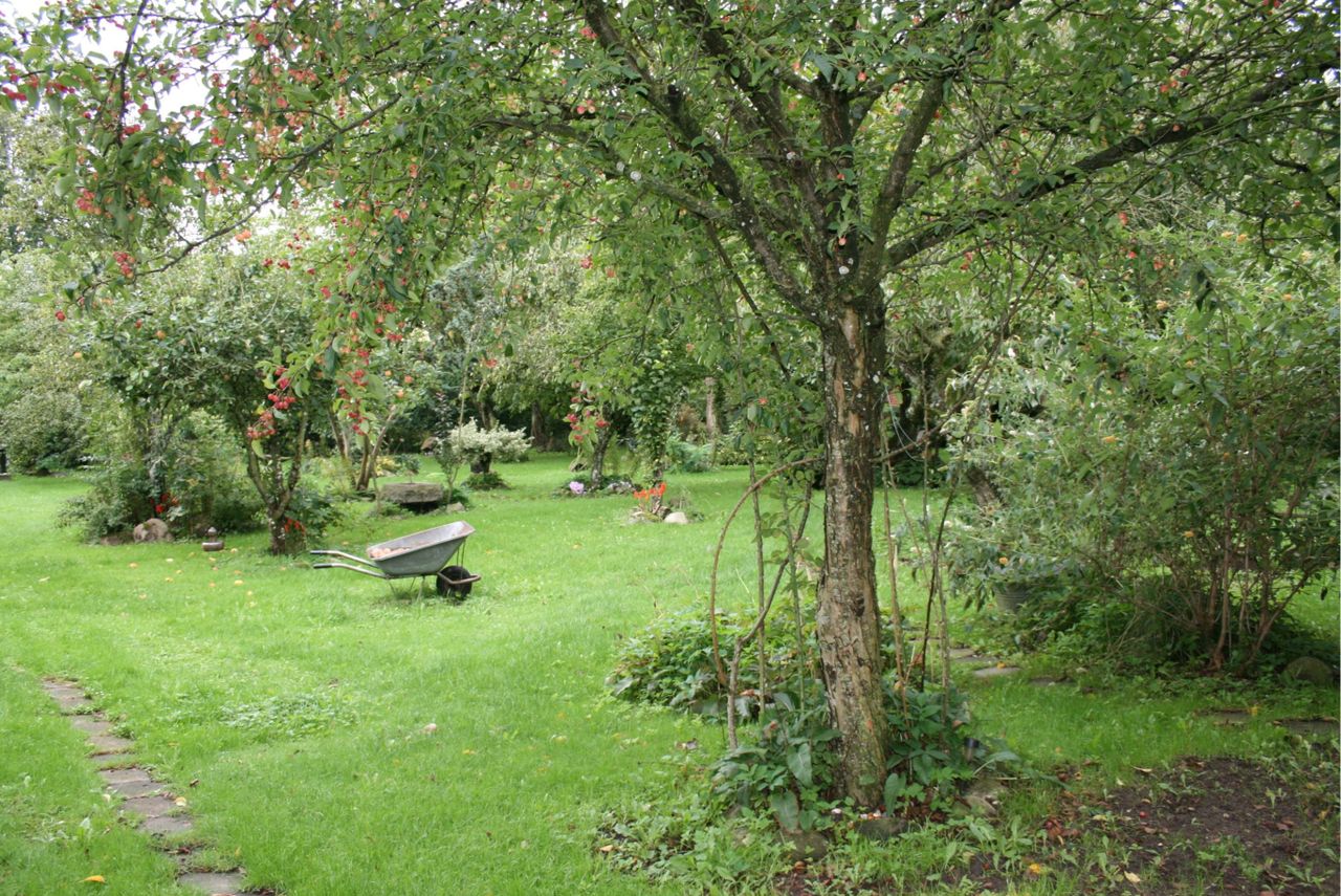image 02