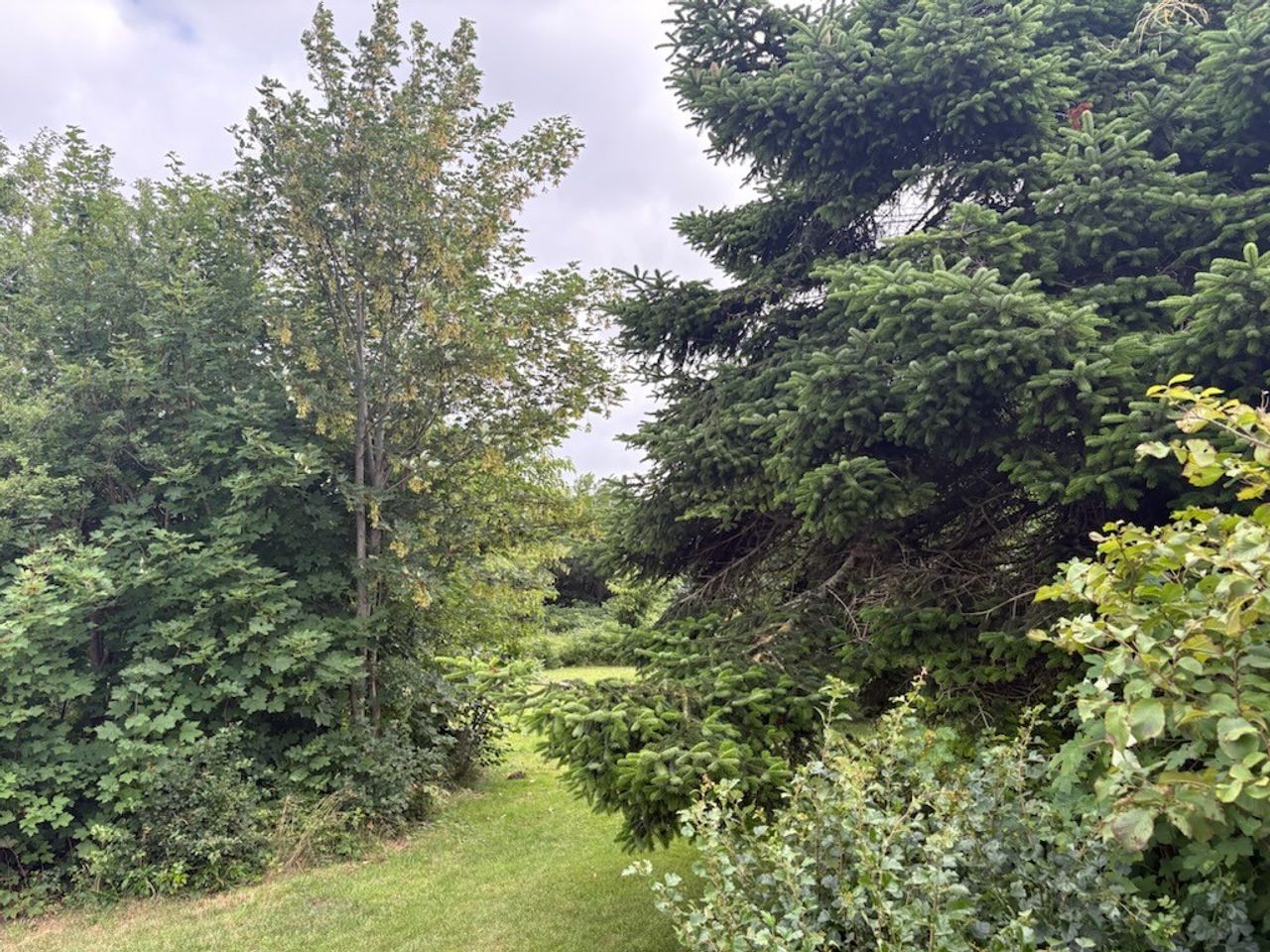image 04