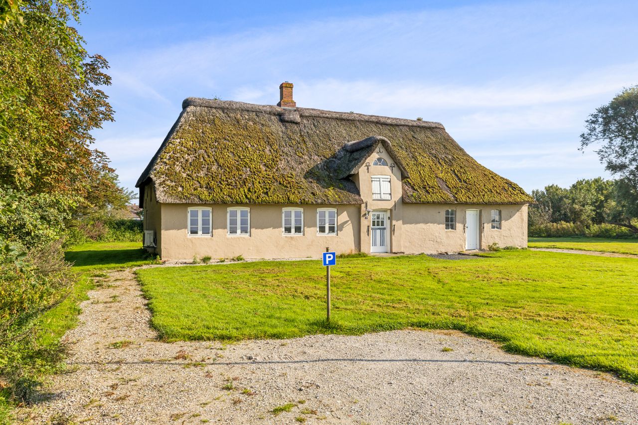 image 01